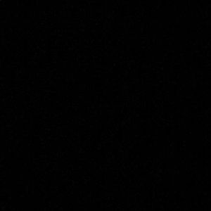 Meet your Posher, Jade